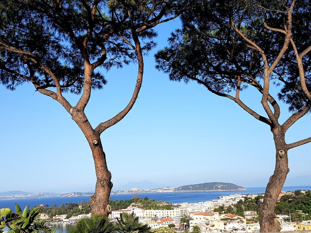 Ischia Dream Visions Apartment ภายนอก รูปภาพ