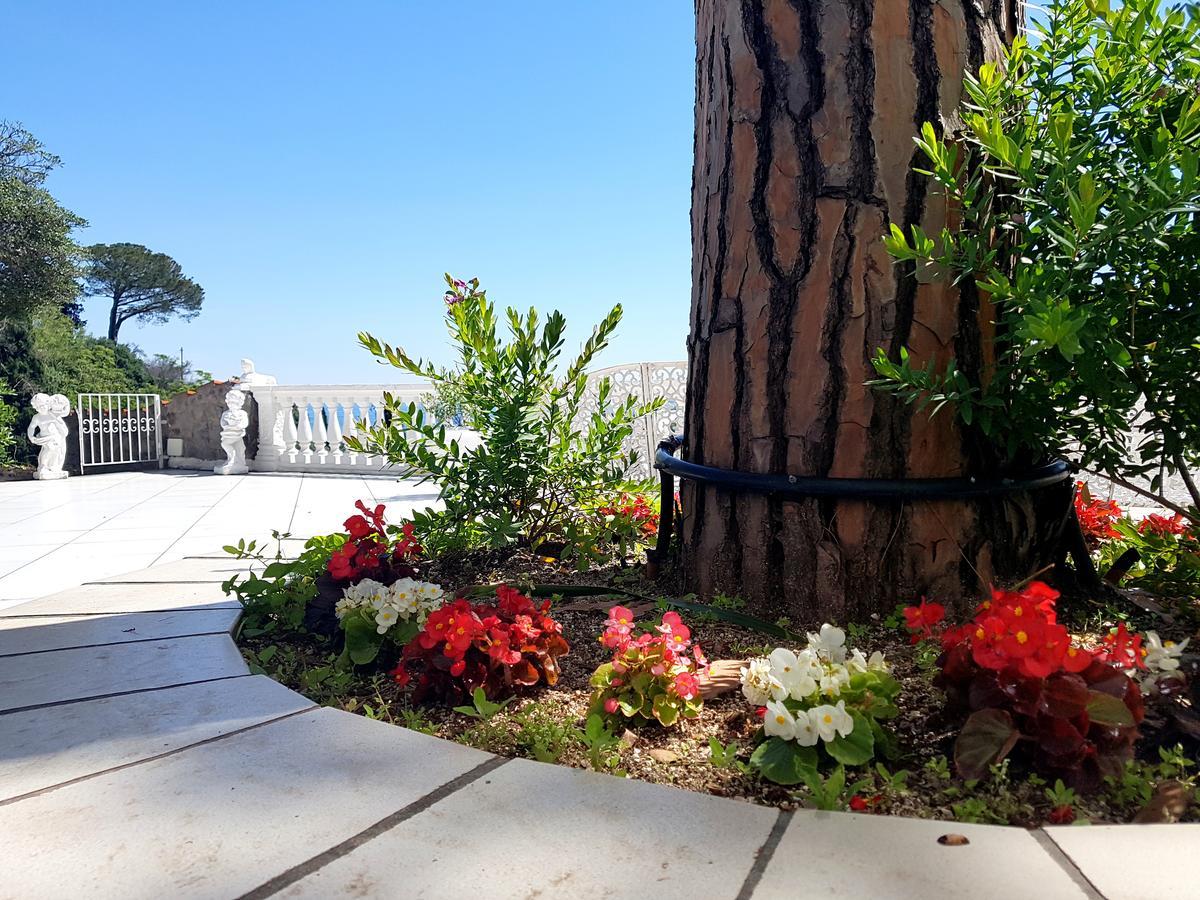 Ischia Dream Visions Apartment ภายนอก รูปภาพ