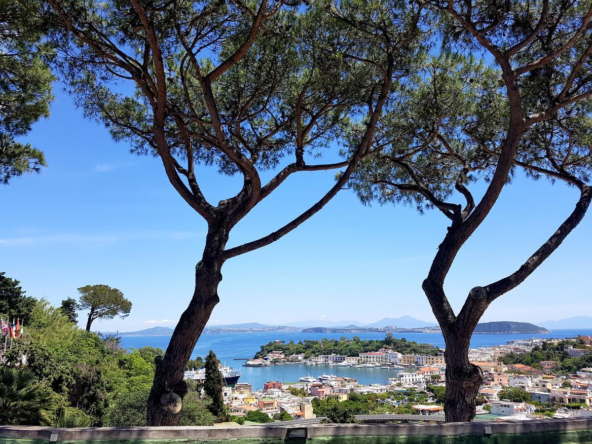 Ischia Dream Visions Apartment ภายนอก รูปภาพ