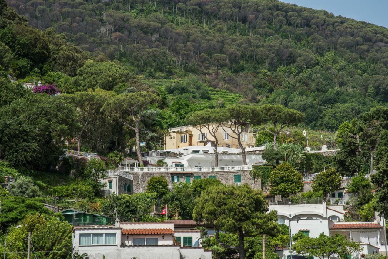 Ischia Dream Visions Apartment ภายนอก รูปภาพ